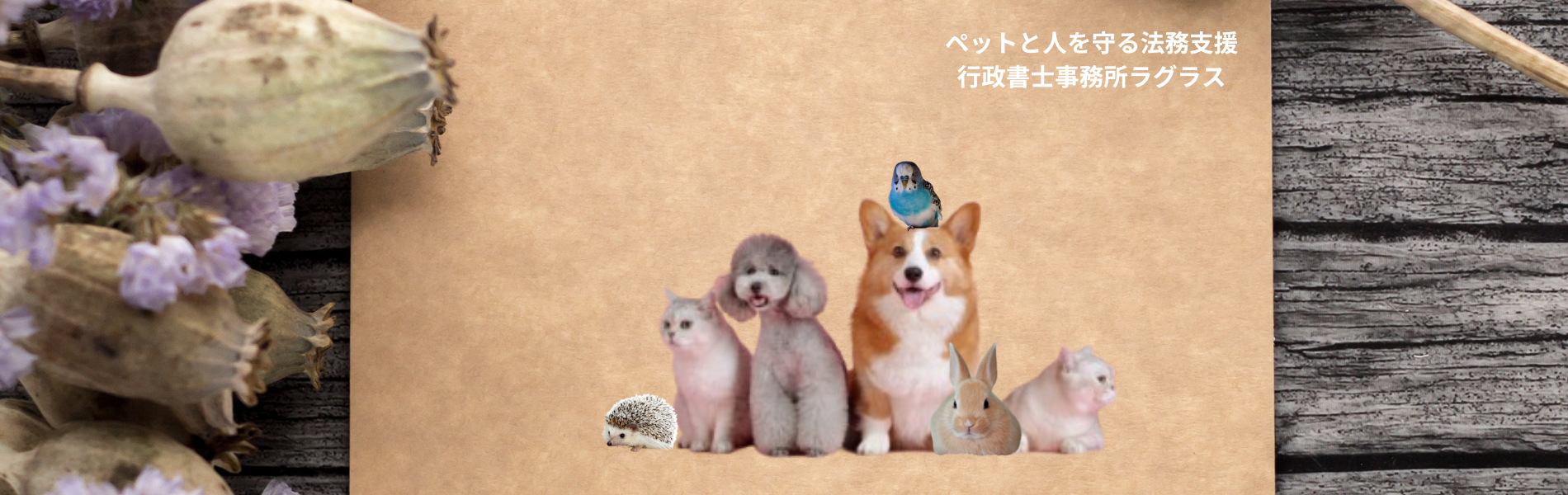 タイトル画像